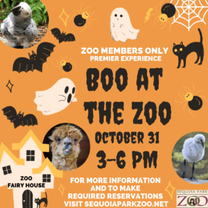 Boo at the Zoo premier experience on October 31, 2020 from 3pm to 6pm