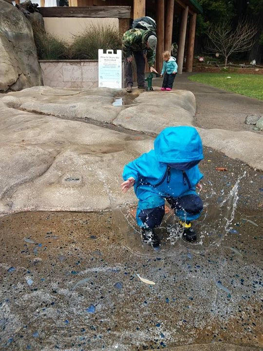 child playing at sequoia park zoo